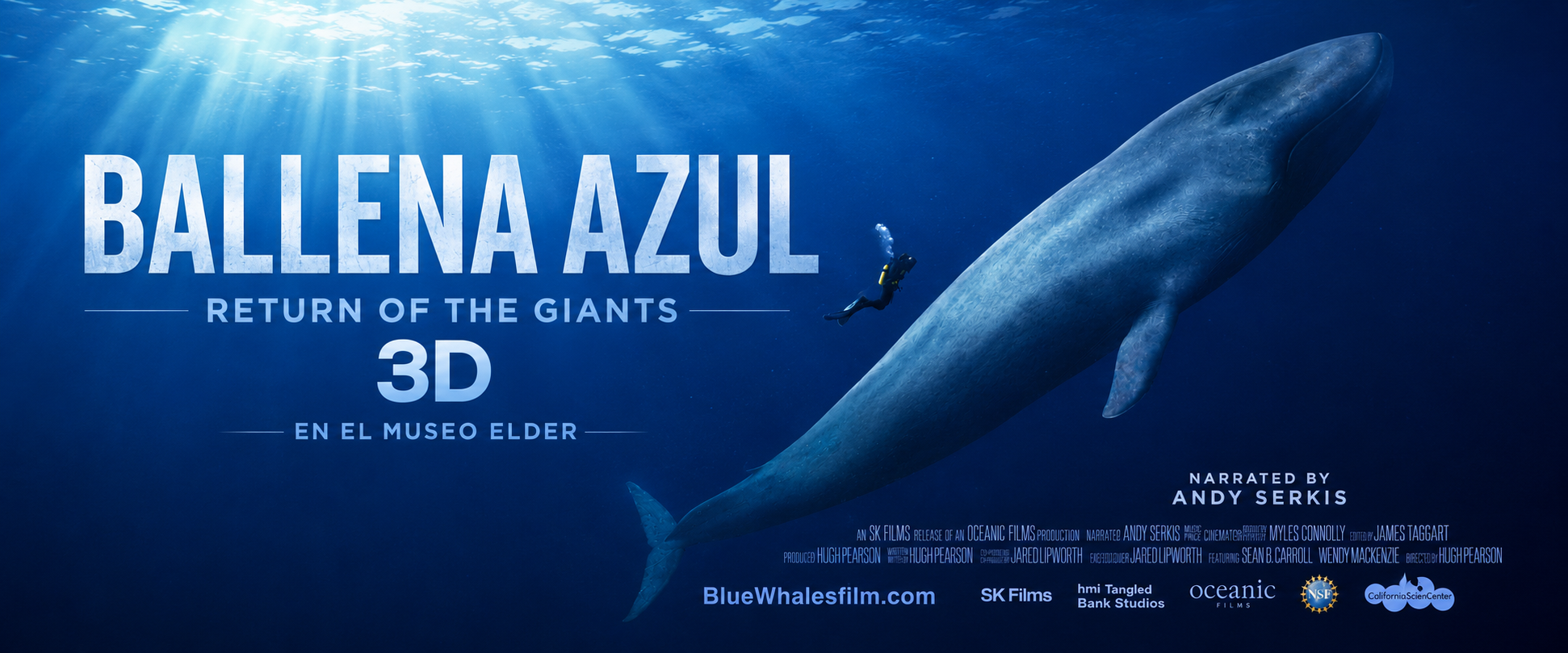 SLlider_Ballena_Azul_en _Elder_